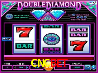 Descubra o Mundo do Cassino Online com CNCBET