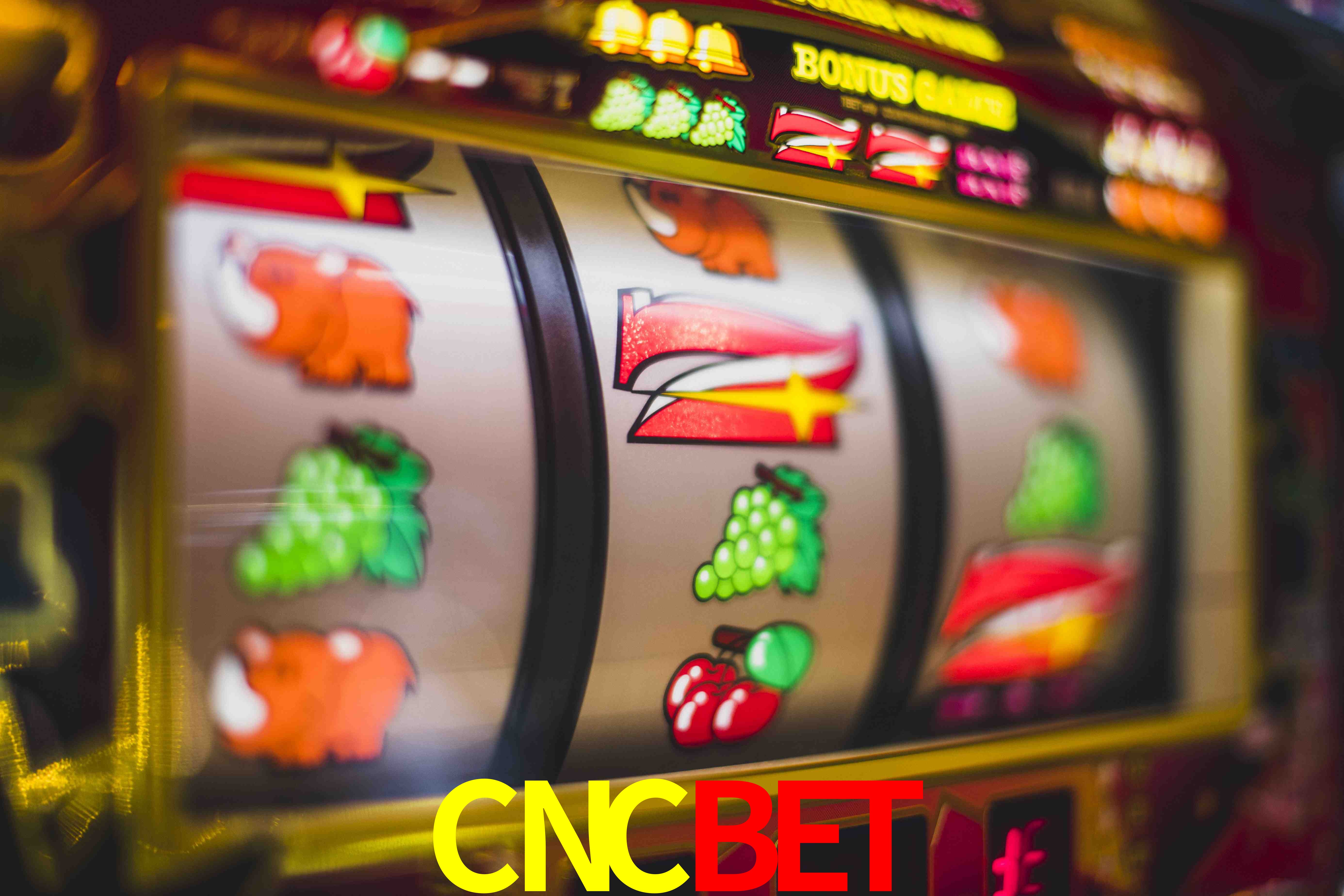 Roulette Table CNCBET